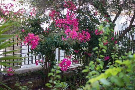 Glyfada Riviera Home Athens Ngoại thất bức ảnh