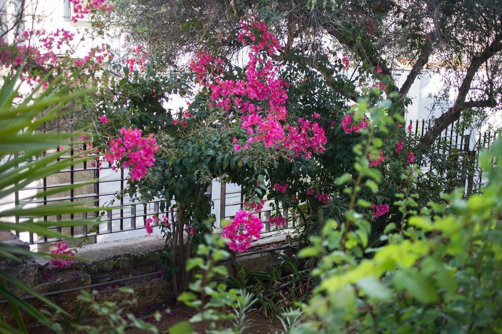 Glyfada Riviera Home Athens Ngoại thất bức ảnh